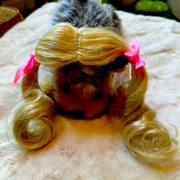 Other - Pet Halloween costume